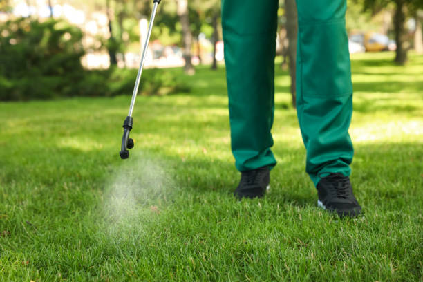 Best Wasp Removal Services  in Kaneohe, HI