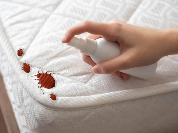 Pest Control for Restaurants in Kaneohe, HI